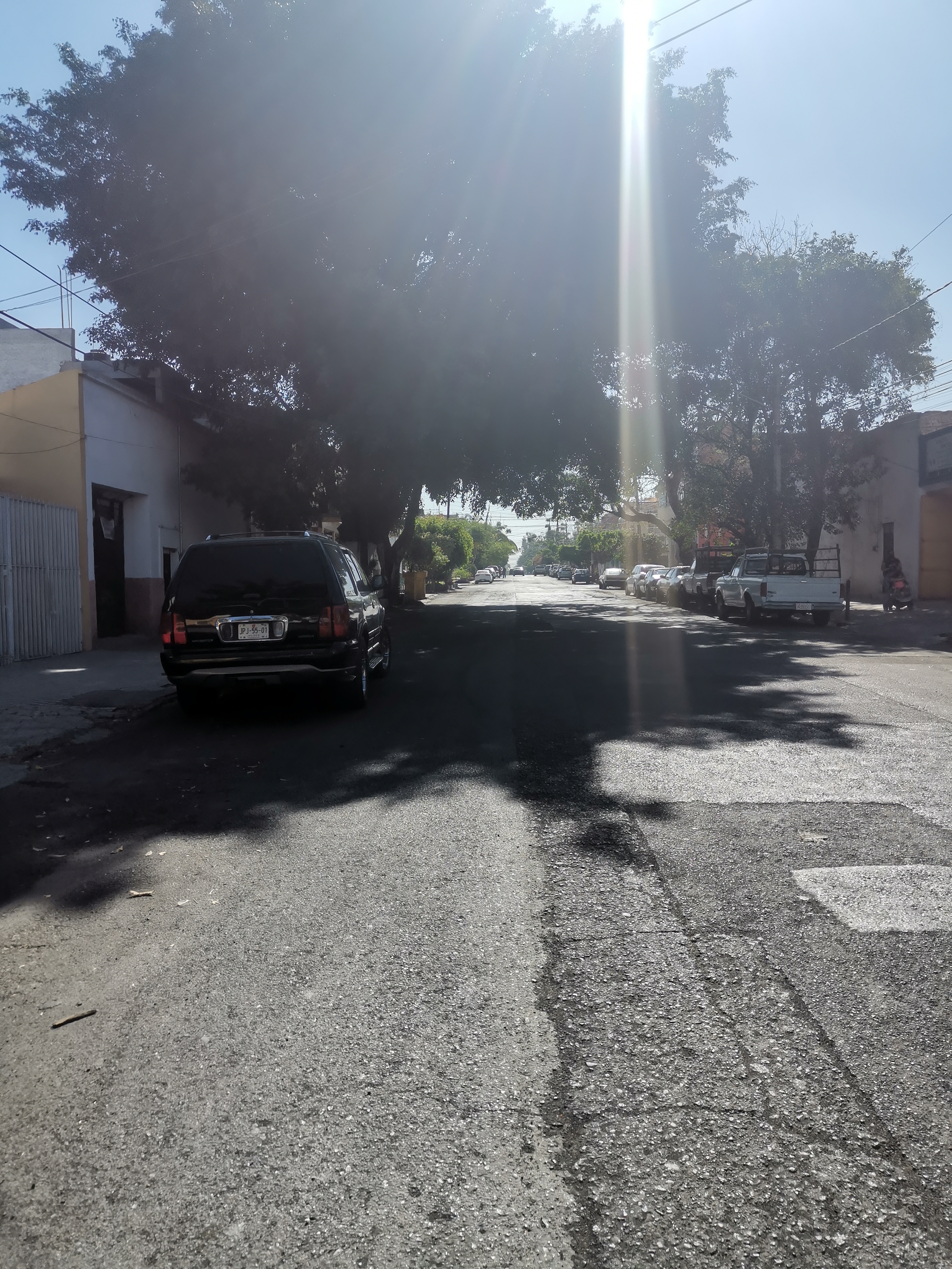 Imagen del proyecto