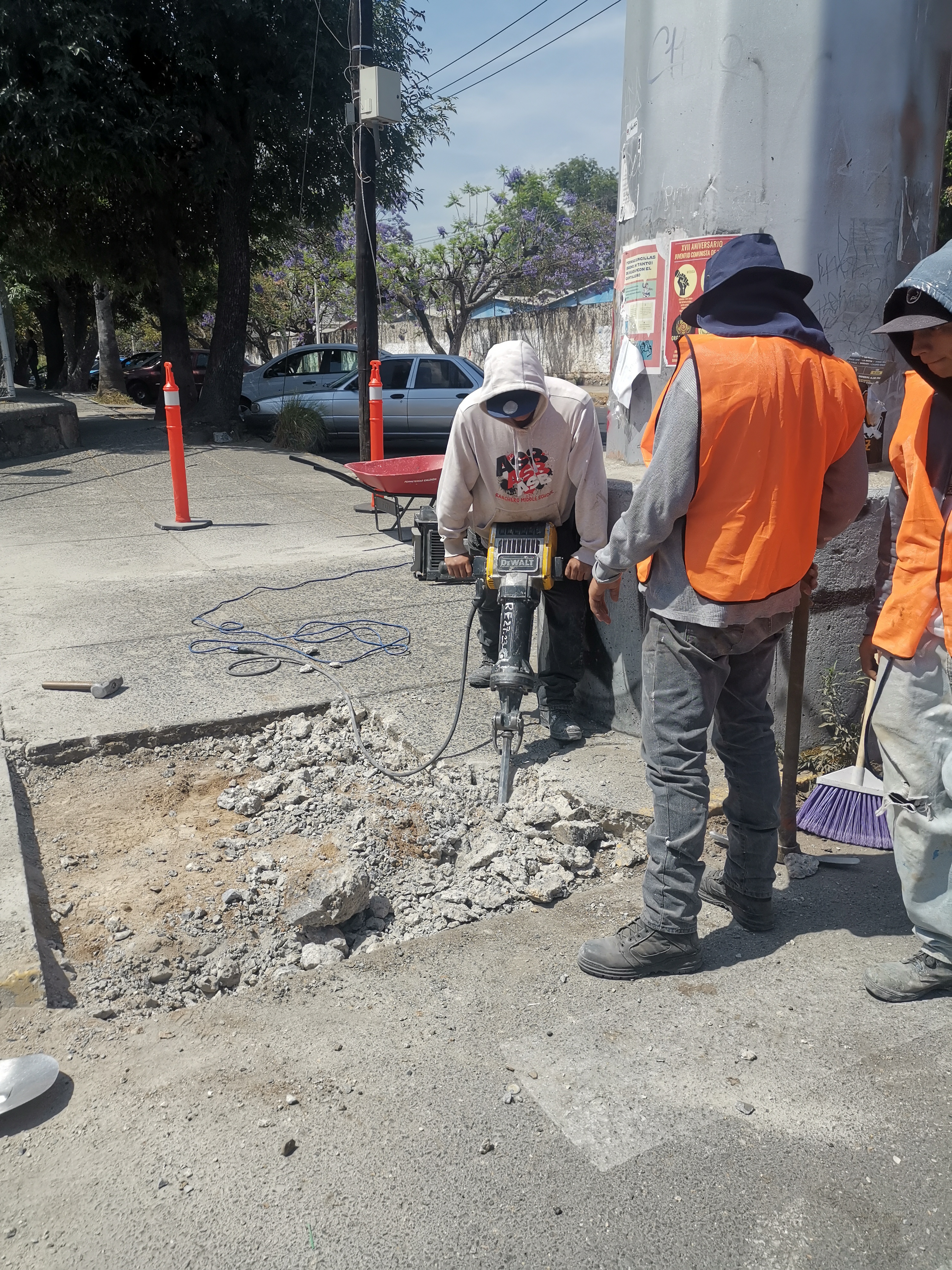 Imagen del proyecto