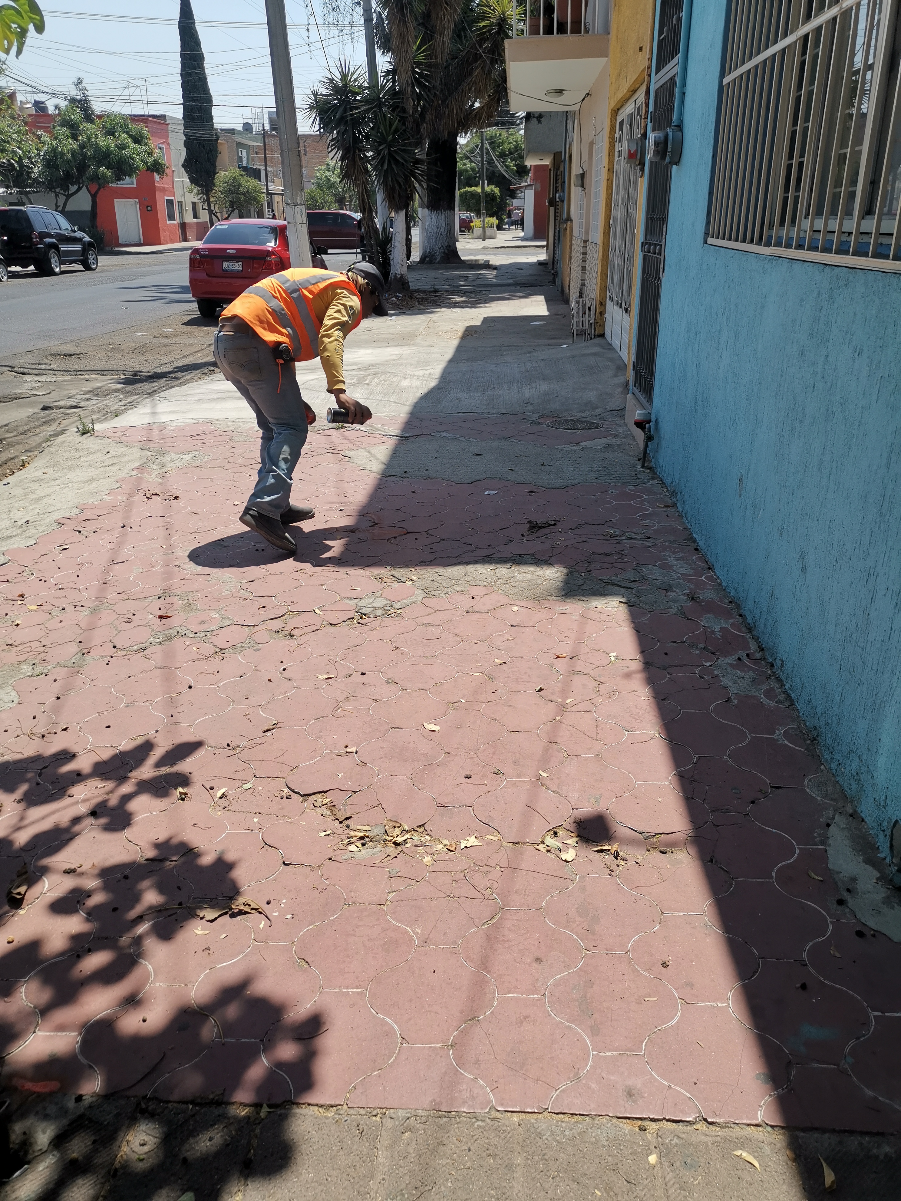 Imagen del proyecto