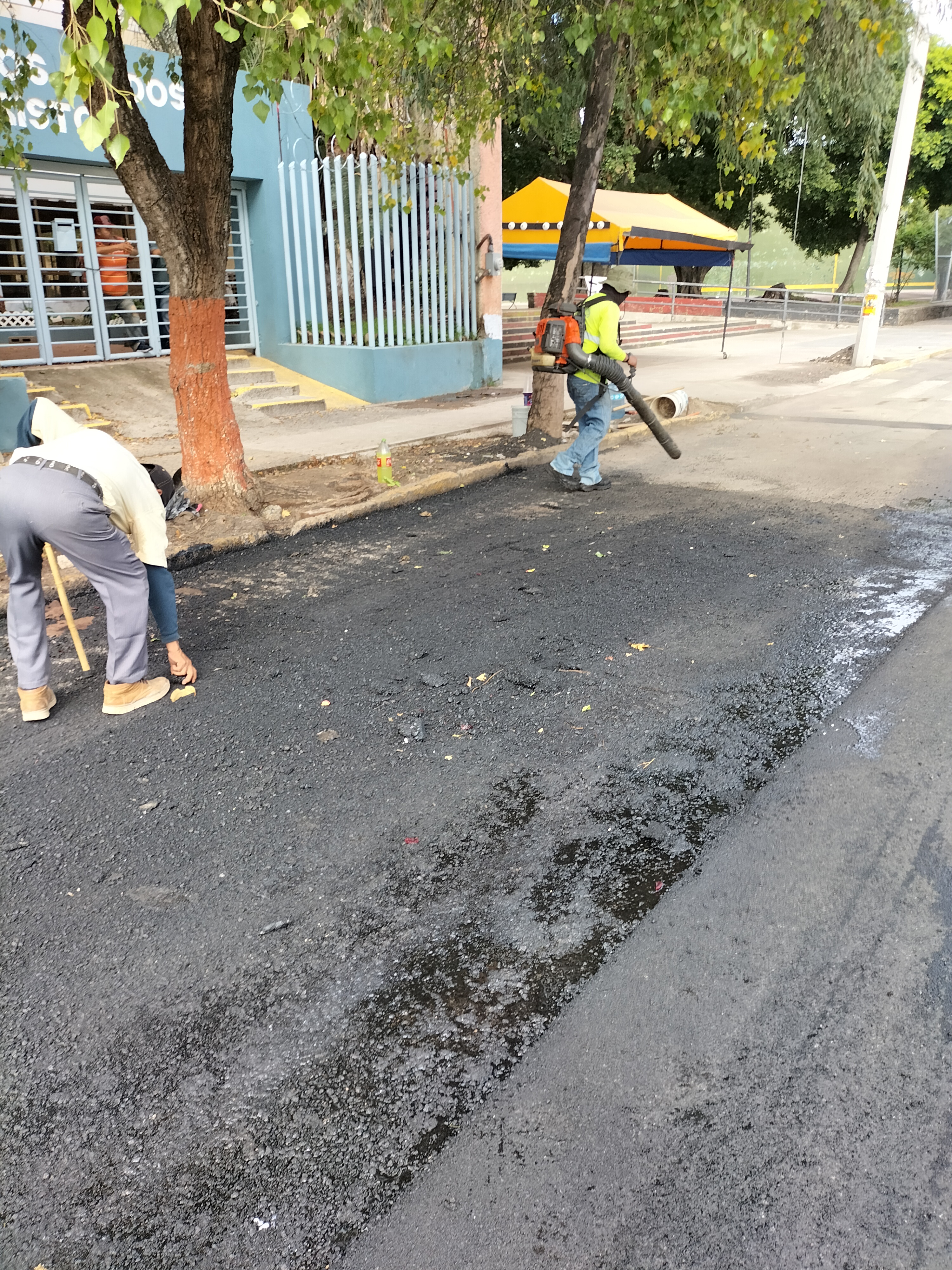 Imagen del proyecto