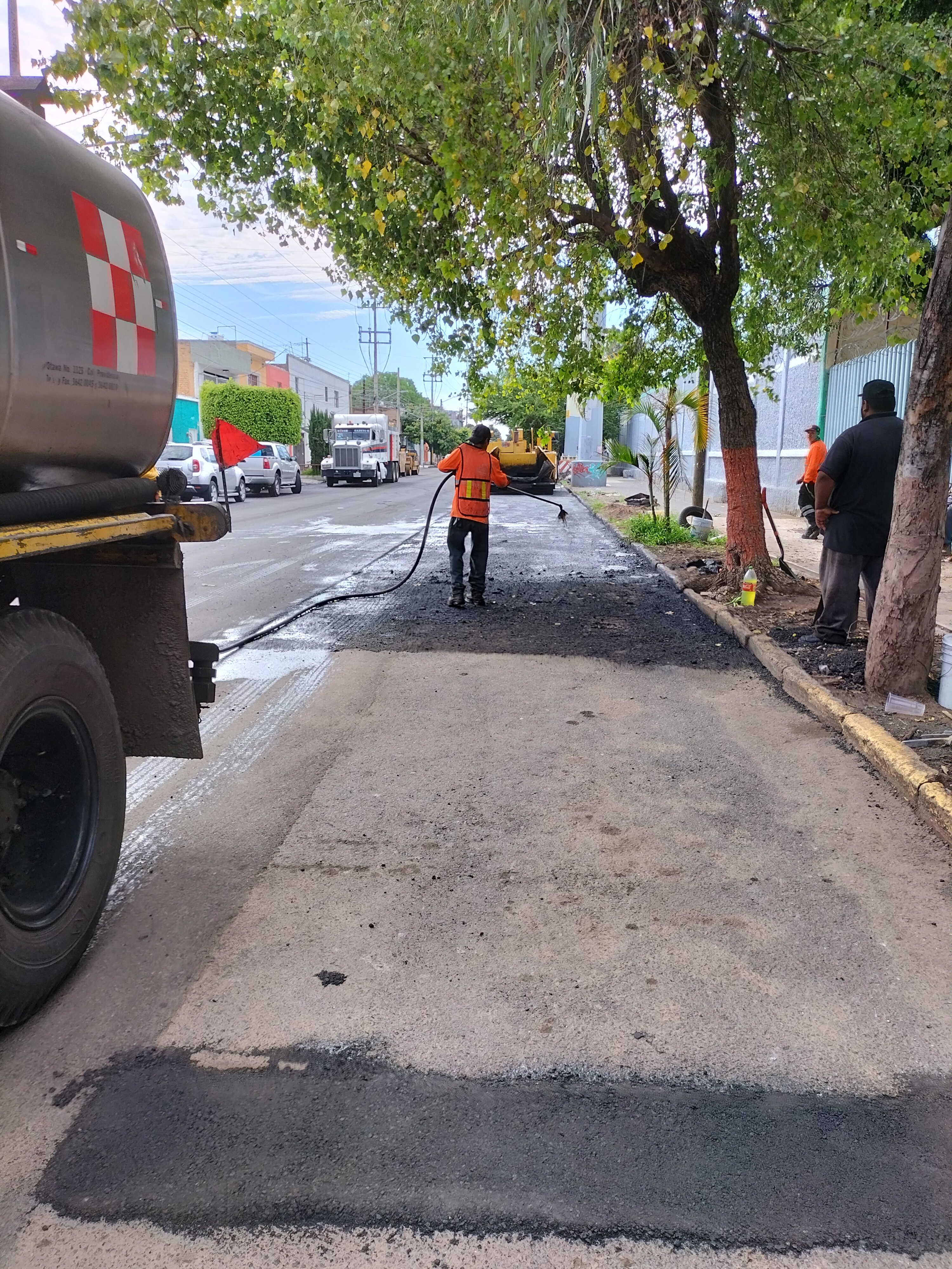 Imagen del proyecto