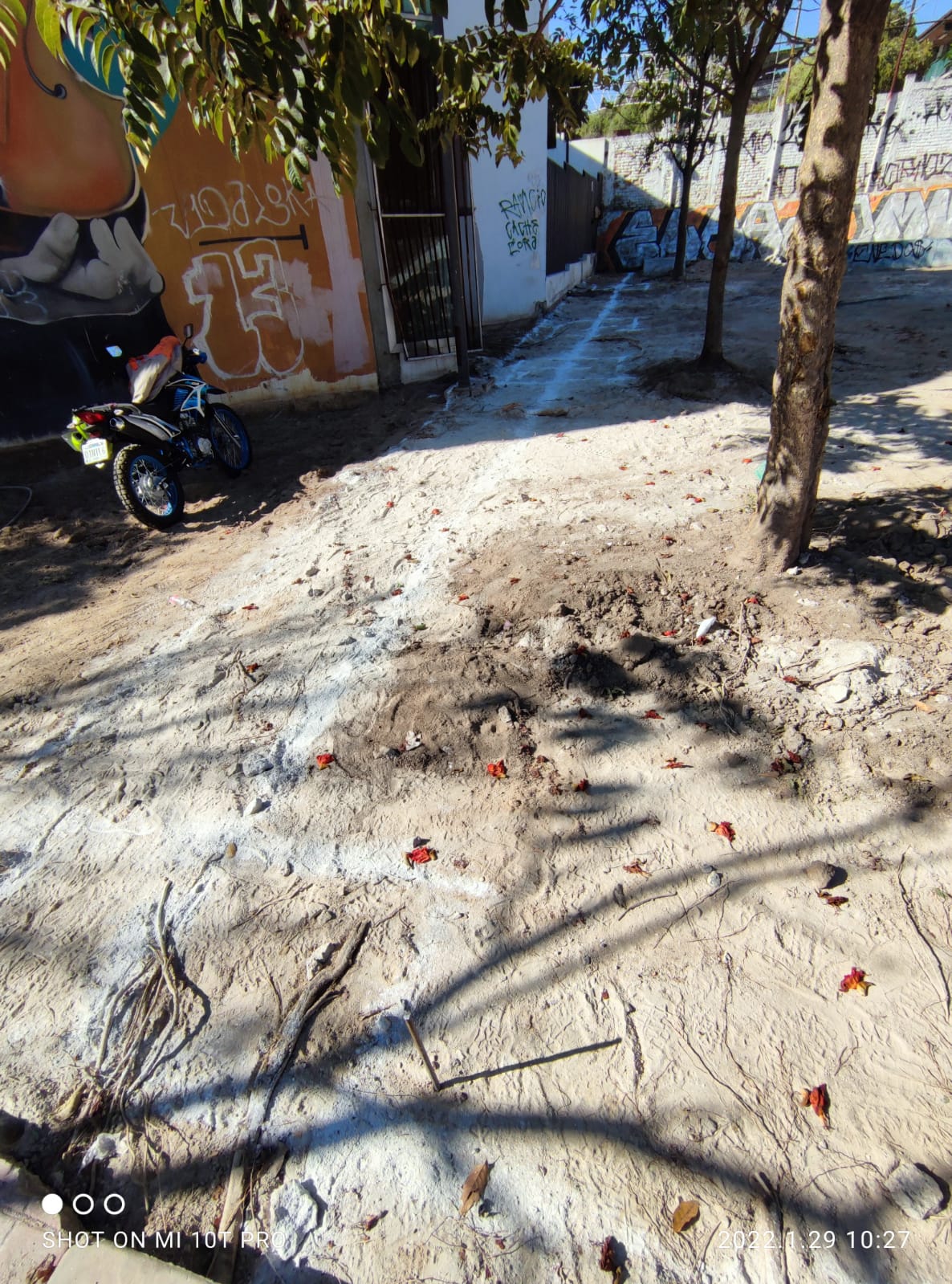 Imagen del proyecto