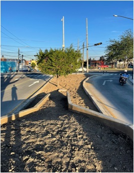 Imagen del Proyecto