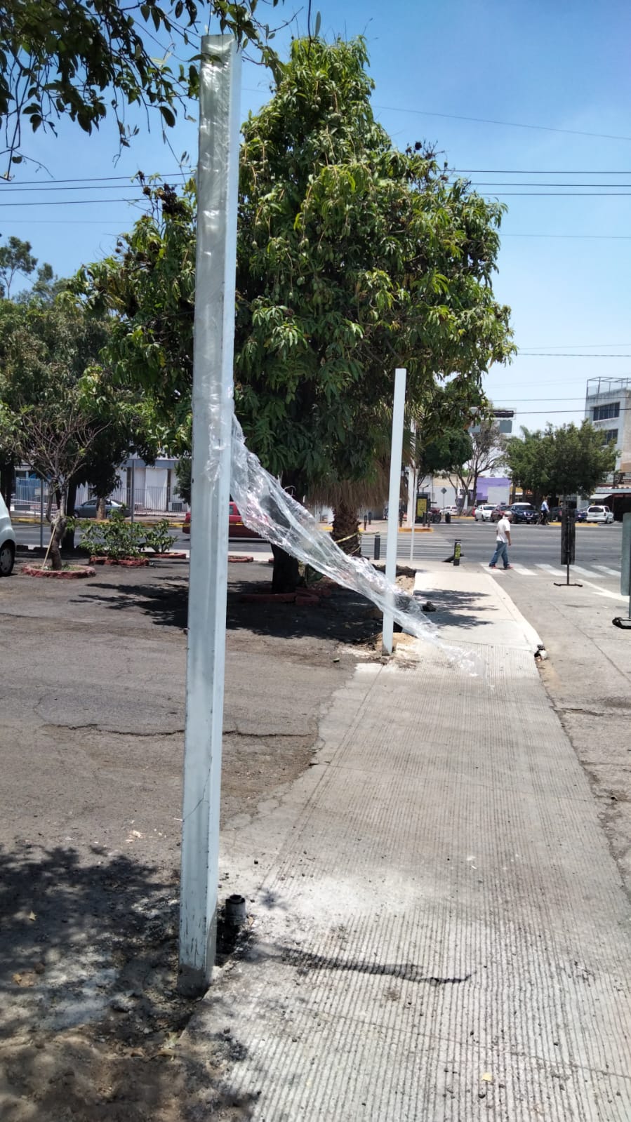Imagen del proyecto