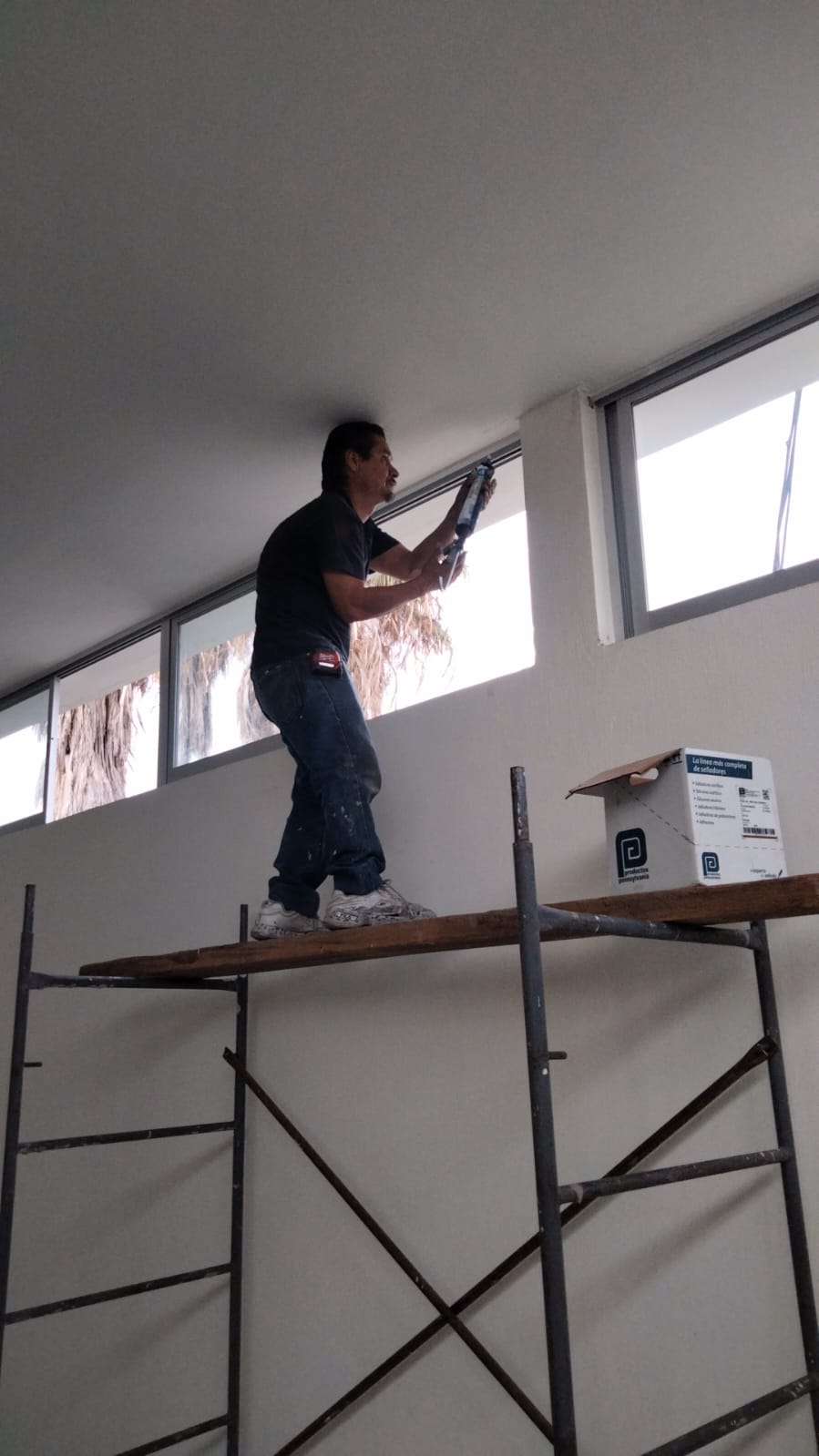 Imagen del proyecto