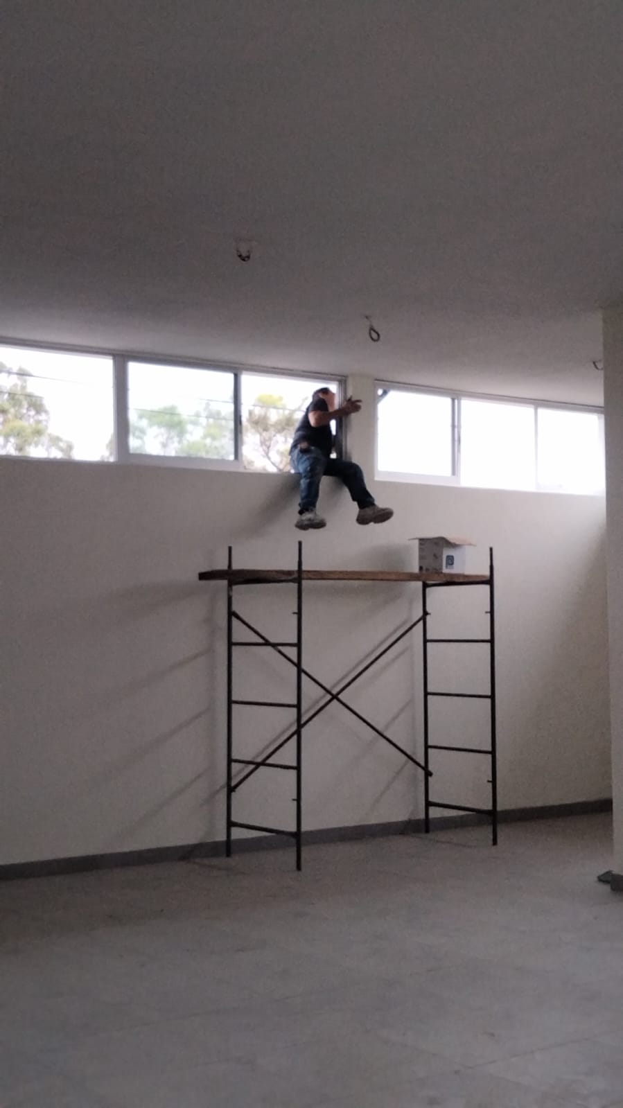 Imagen del proyecto