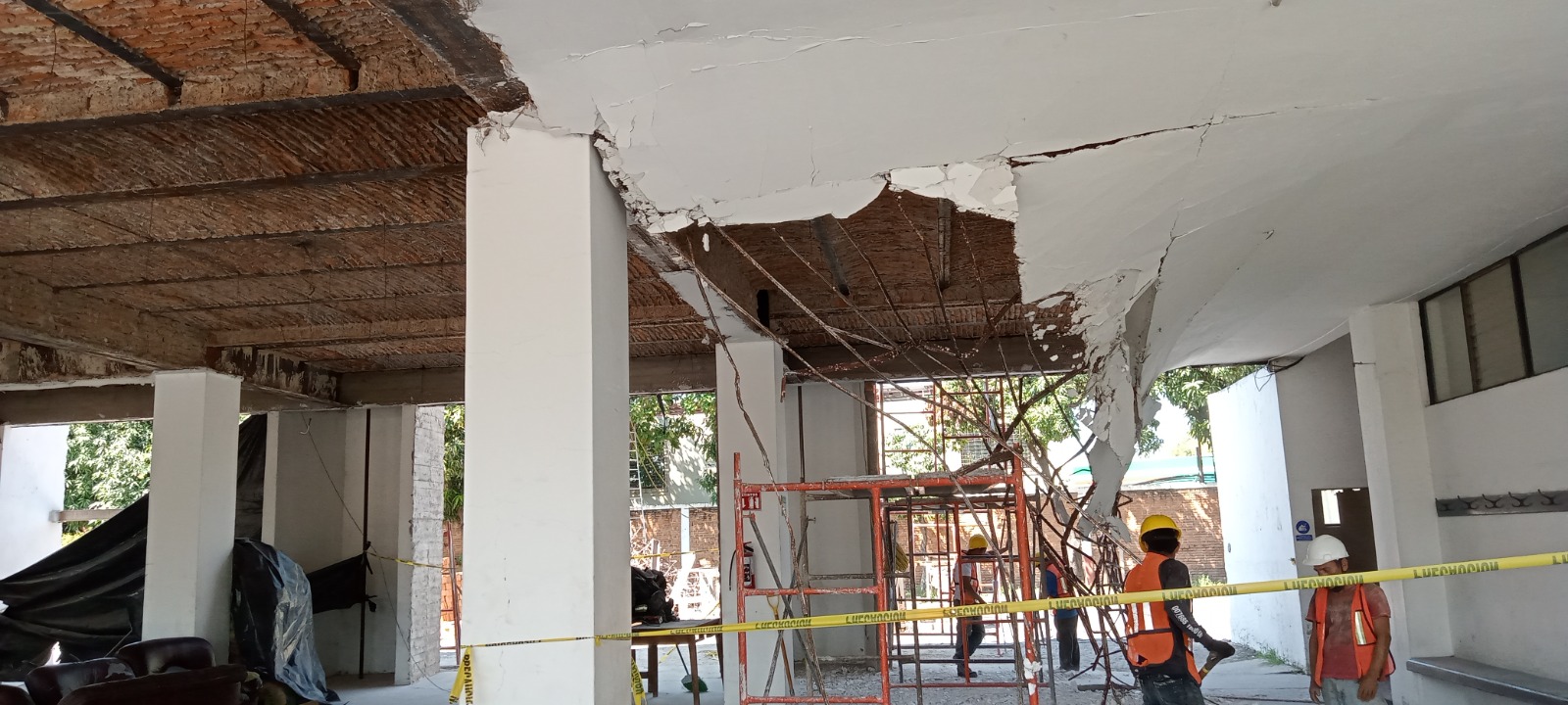 Imagen del proyecto