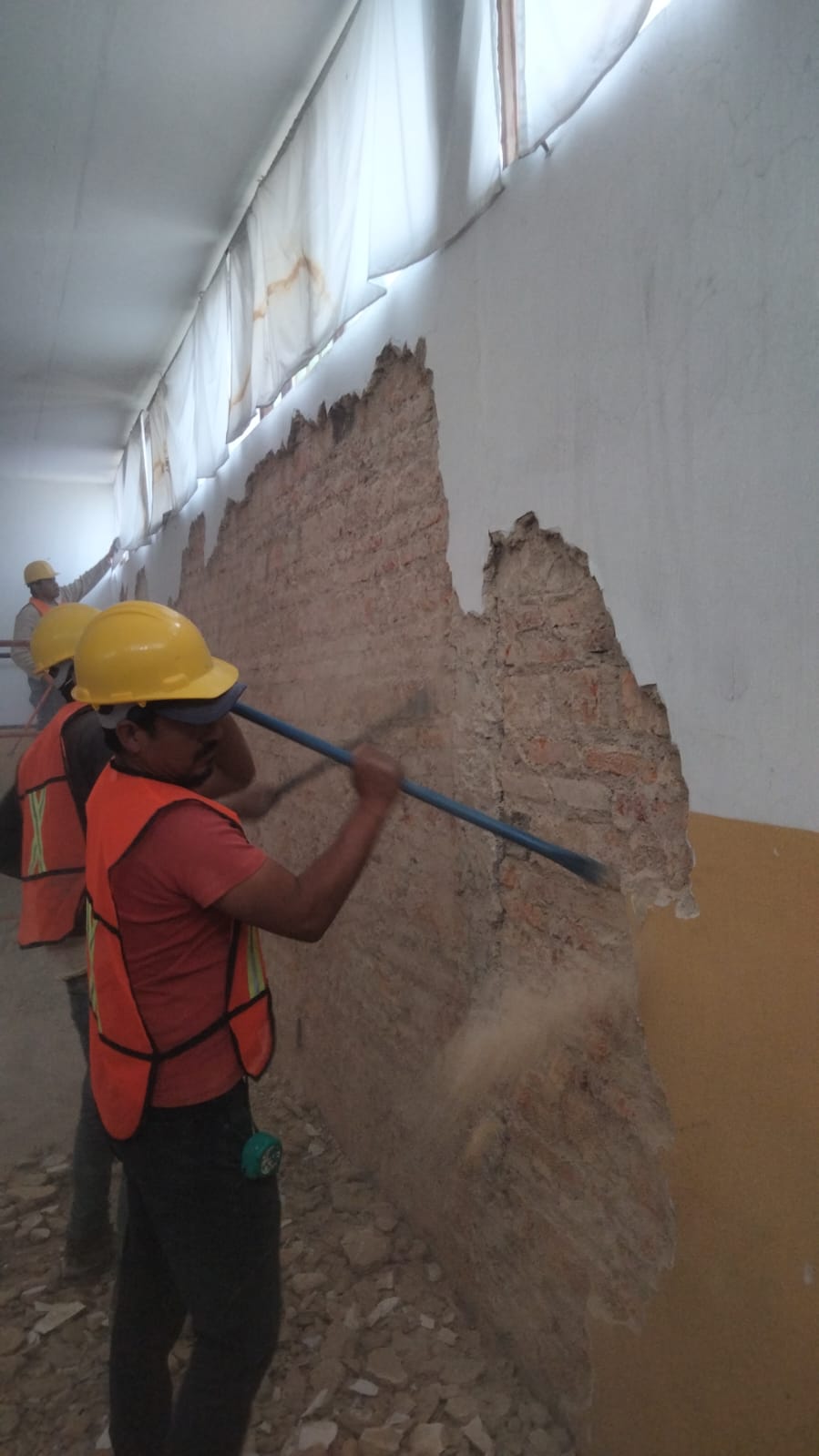 Imagen del proyecto