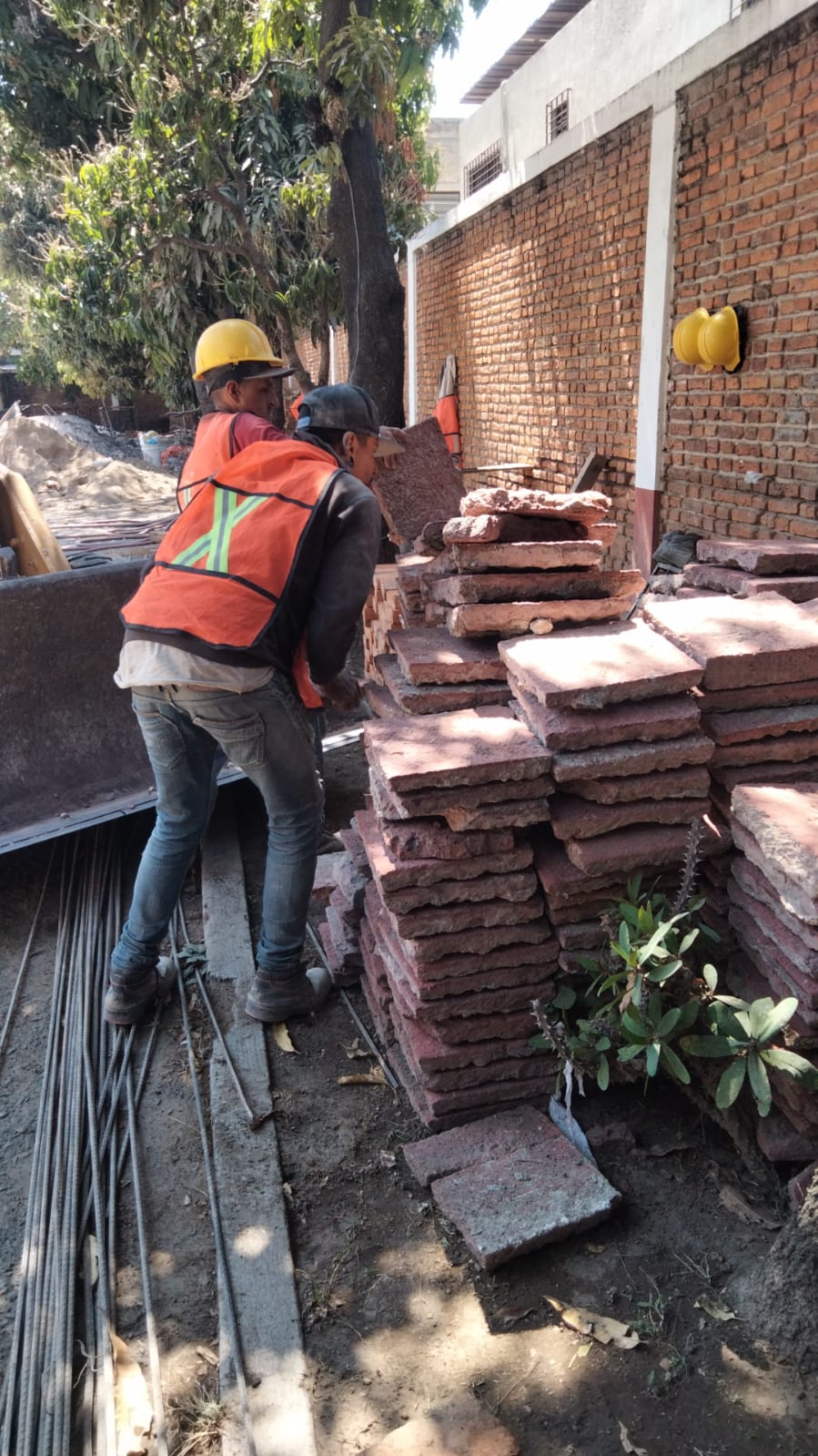 Imagen del proyecto