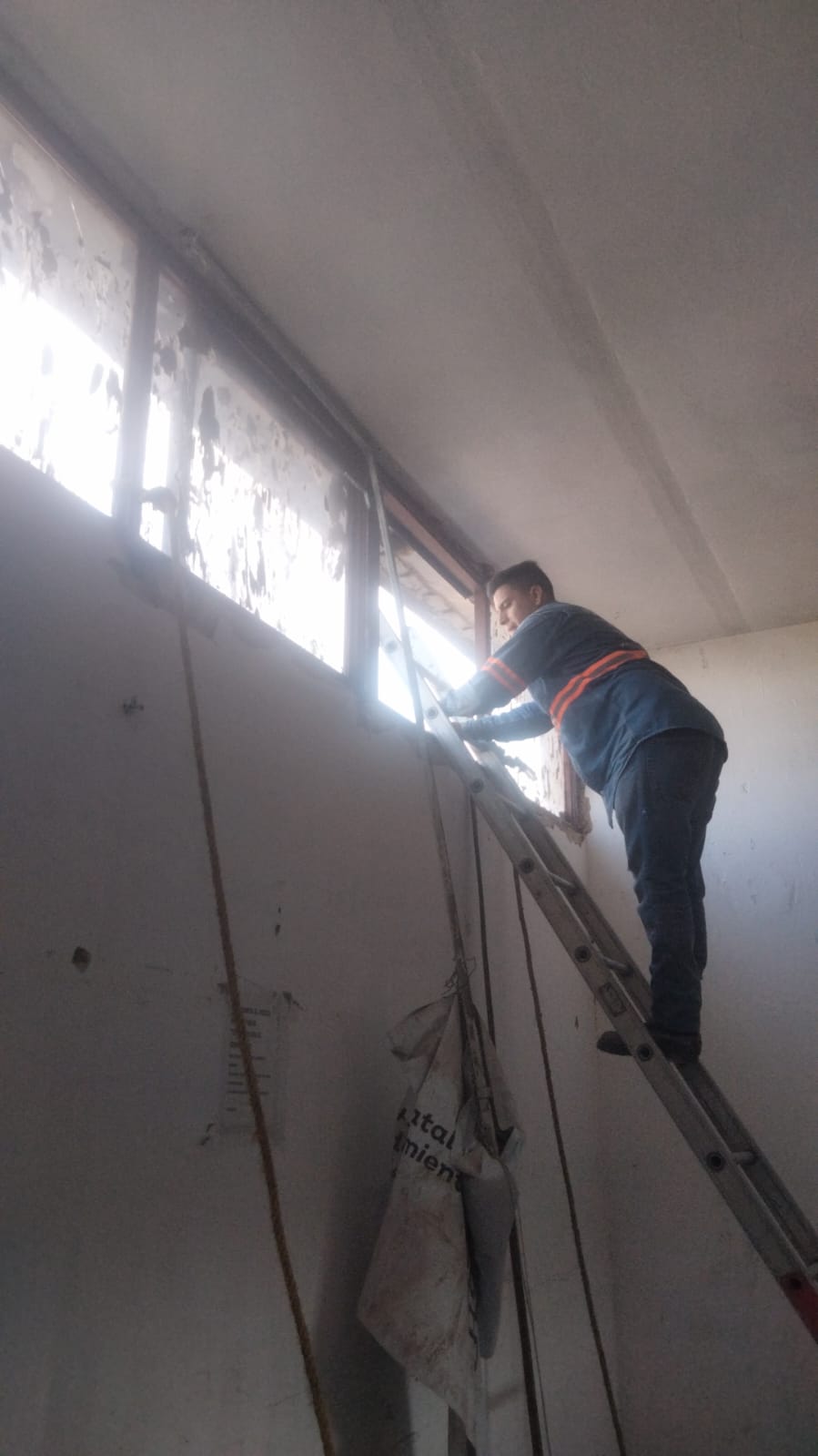 Imagen del proyecto