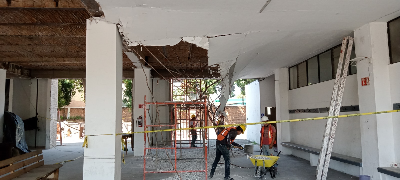 Imagen del proyecto
