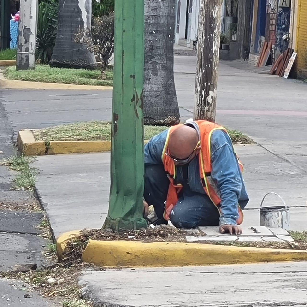 Imagen del Proyecto