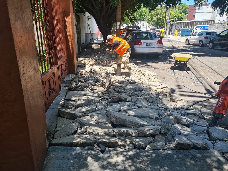 Imagen del proyecto