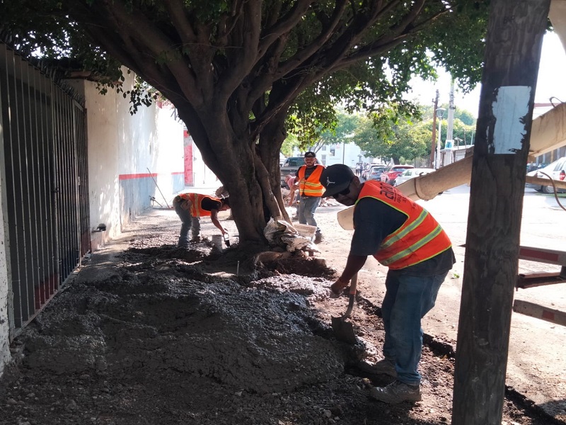 Imagen del proyecto