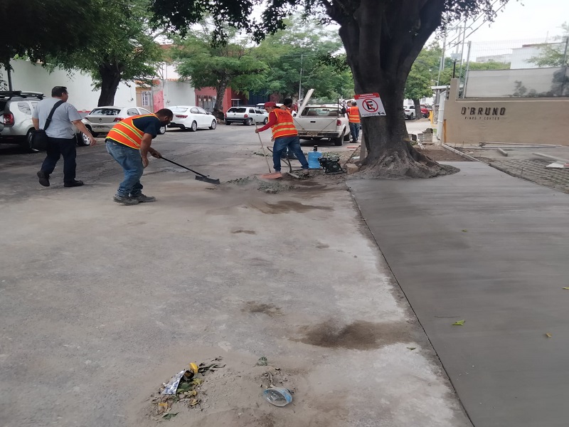 Imagen del proyecto