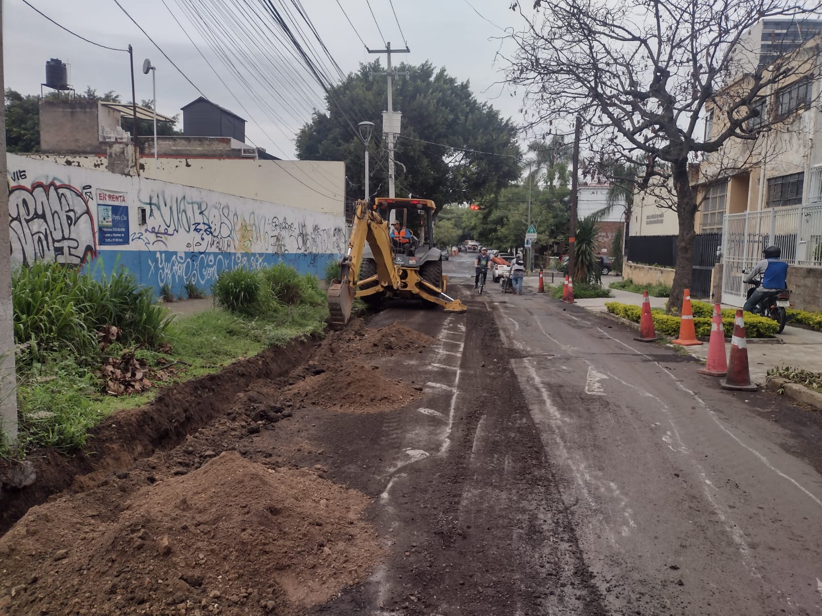 Imagen del proyecto