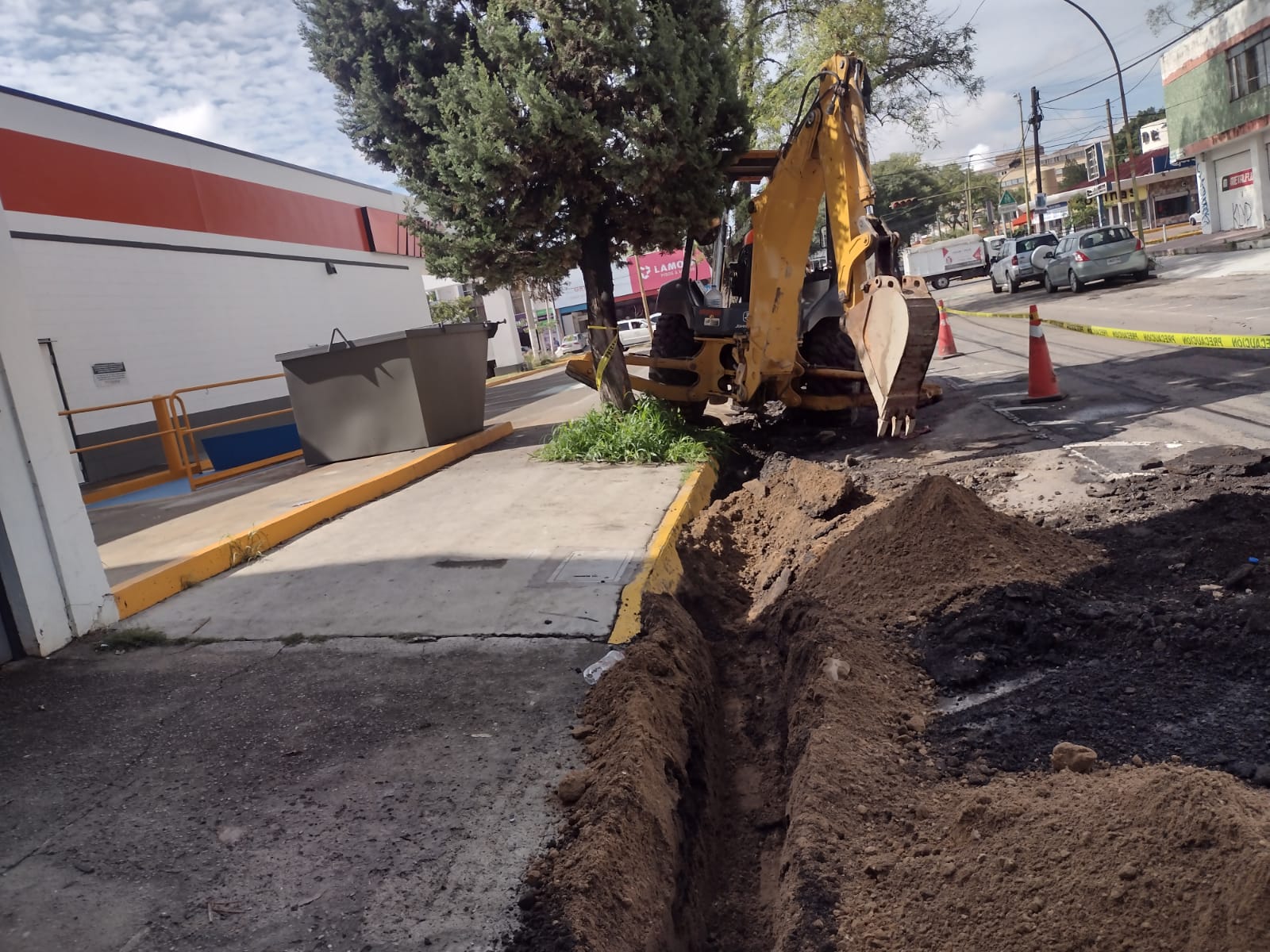 Imagen del proyecto