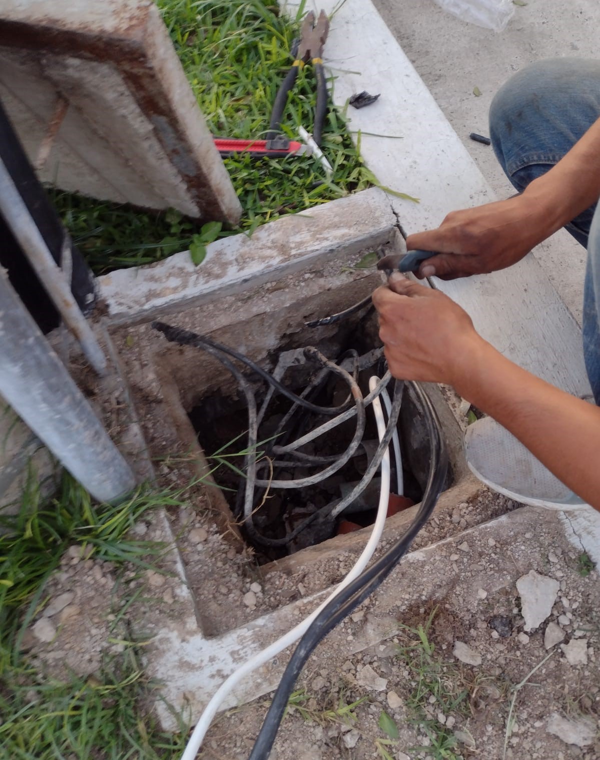 Imagen del proyecto