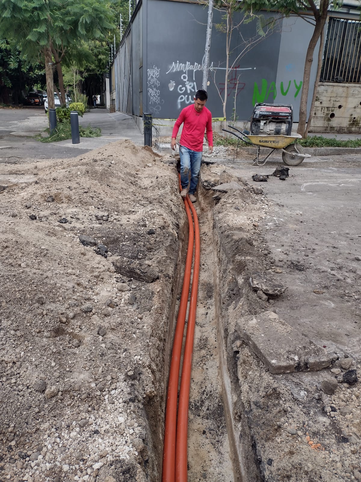 Imagen del proyecto