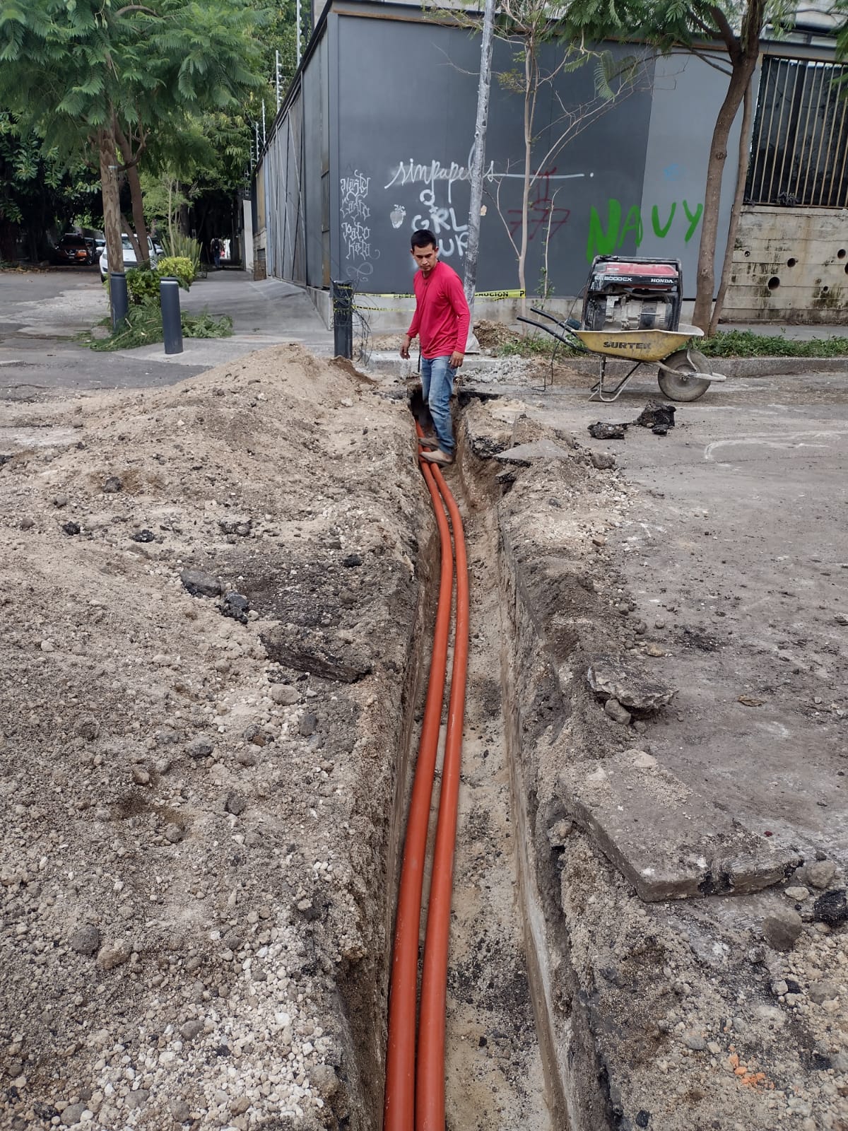 Imagen del proyecto