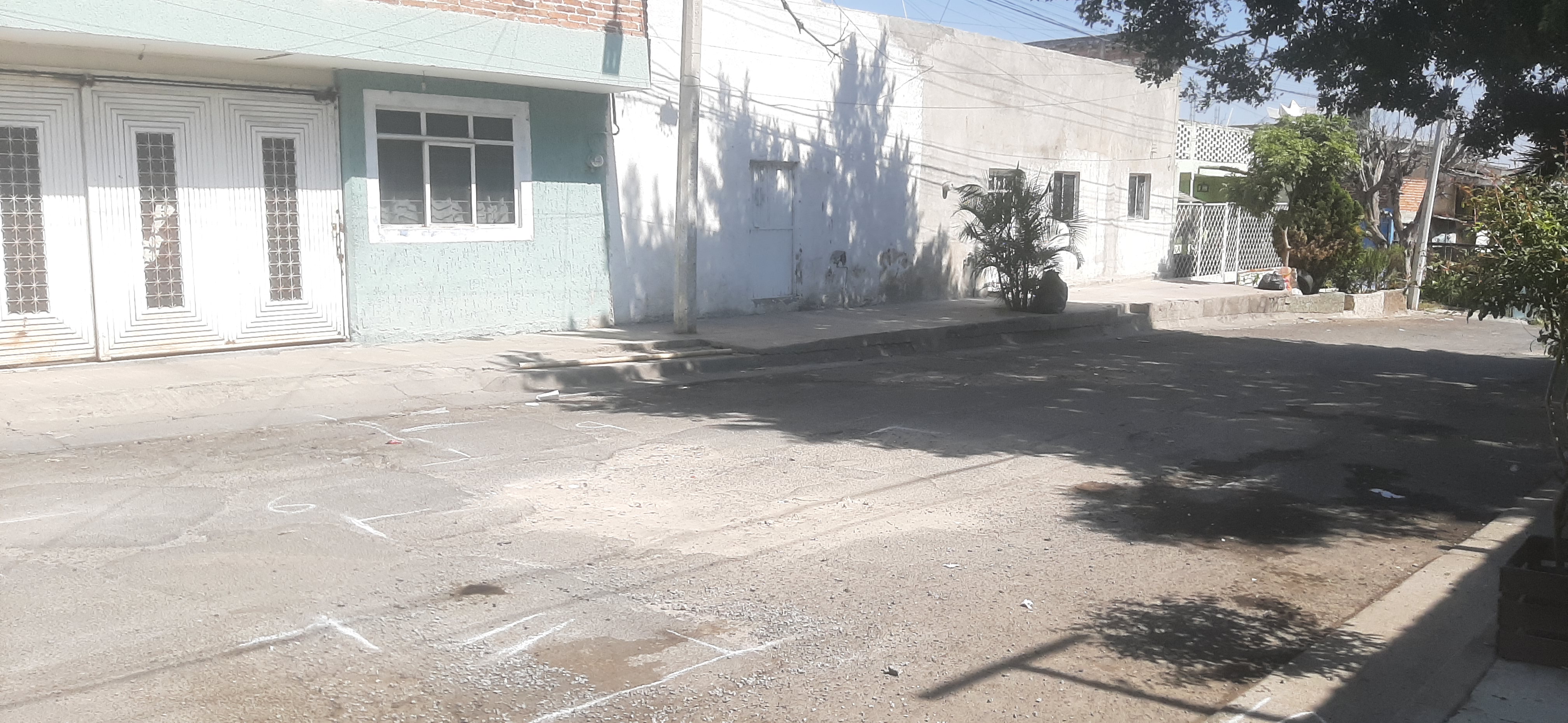 Imagen del proyecto