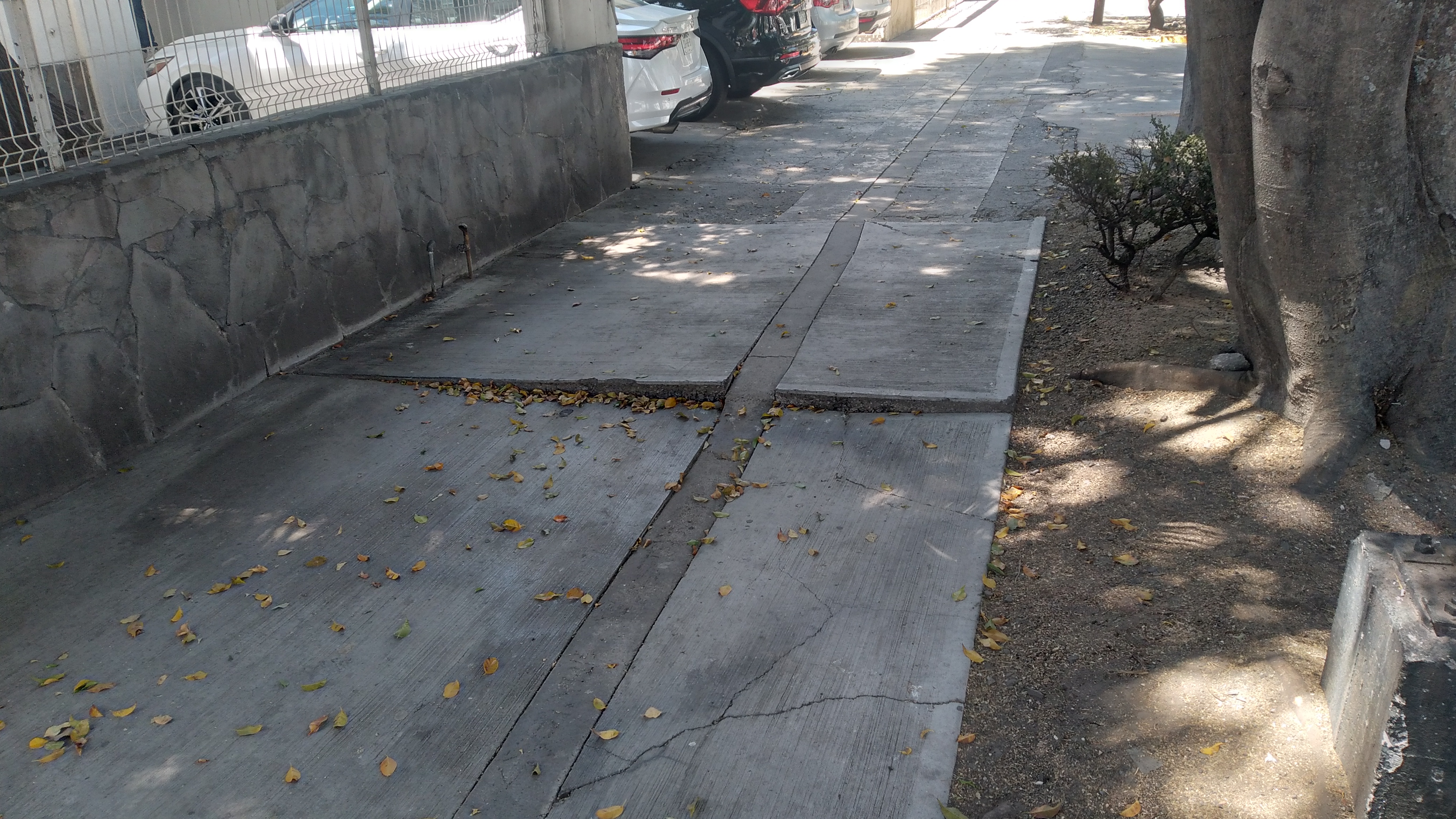 Imagen del proyecto