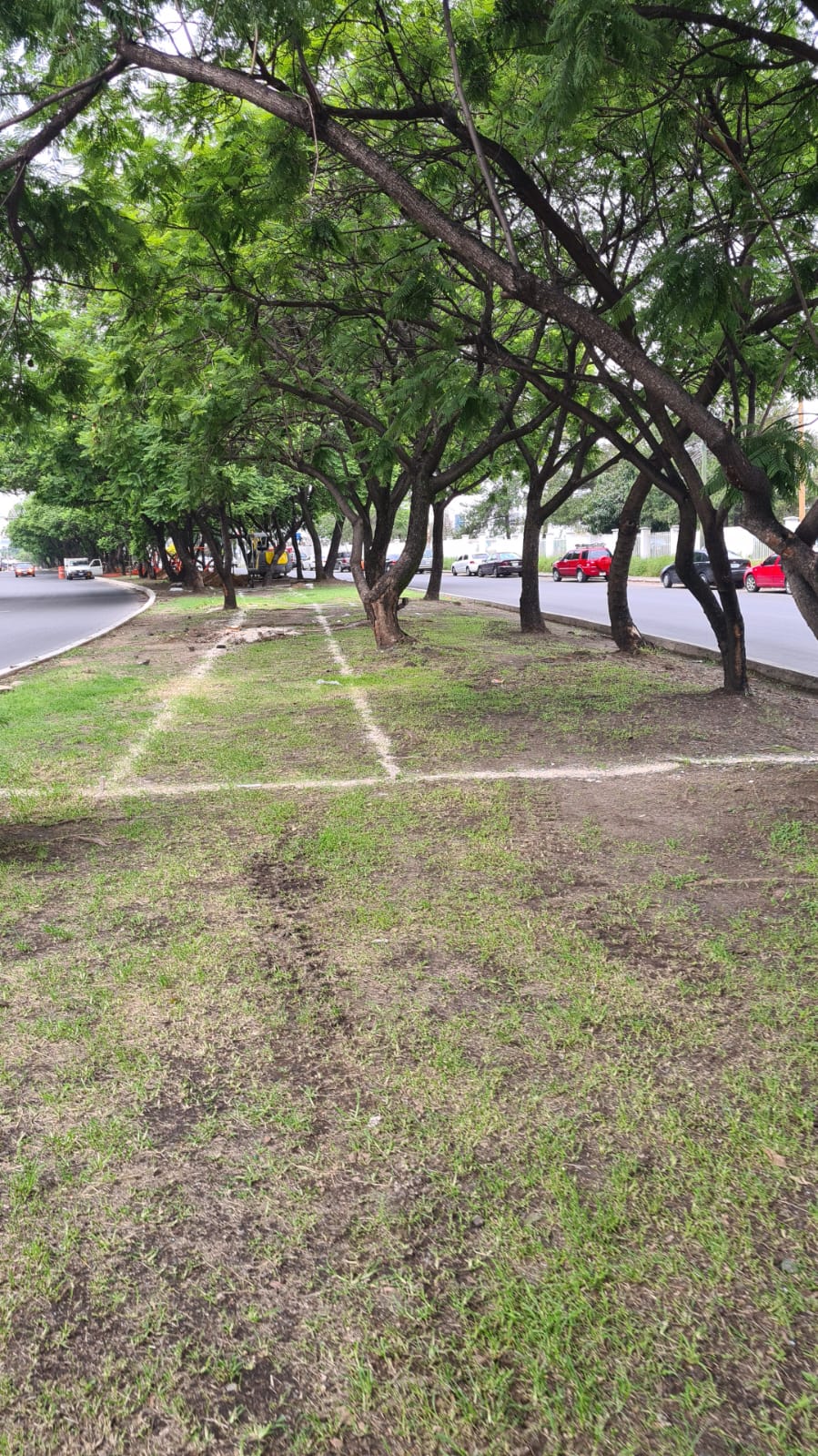 Imagen del proyecto