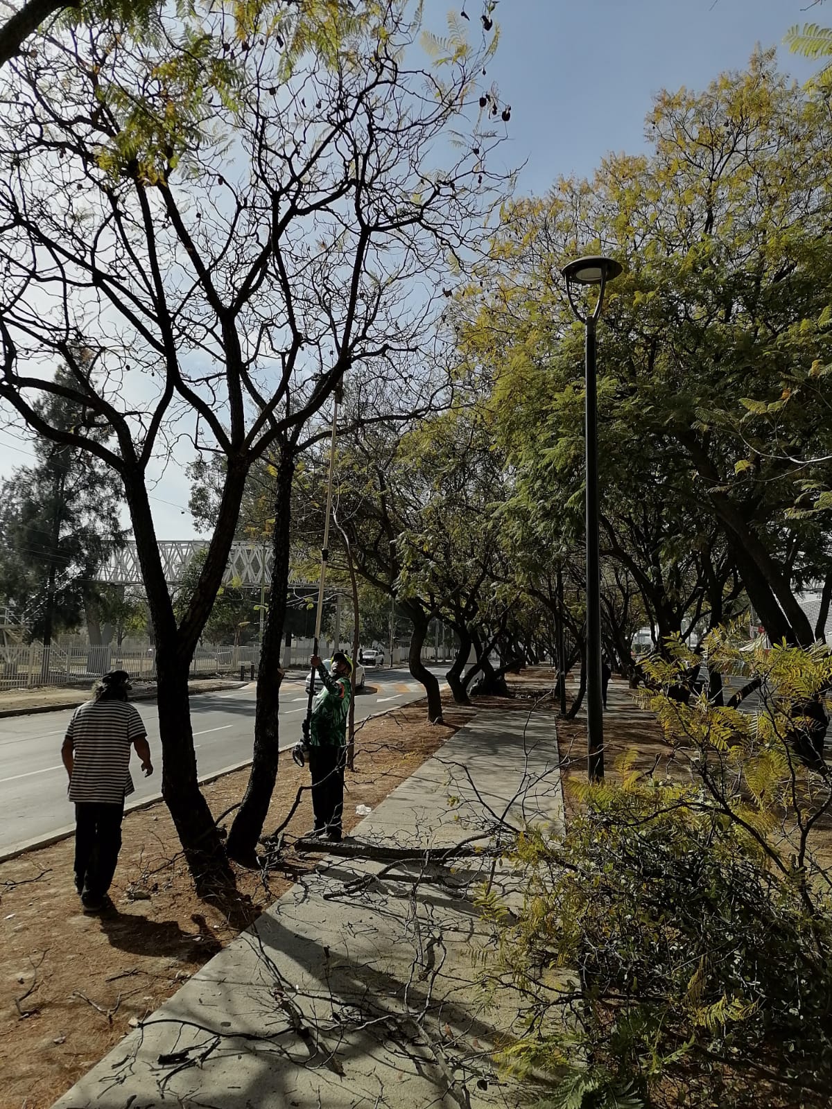Imagen del proyecto
