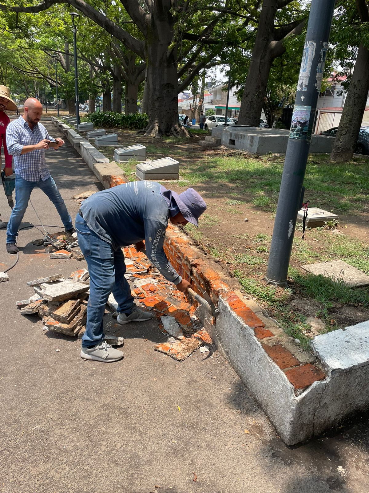 Imagen del proyecto