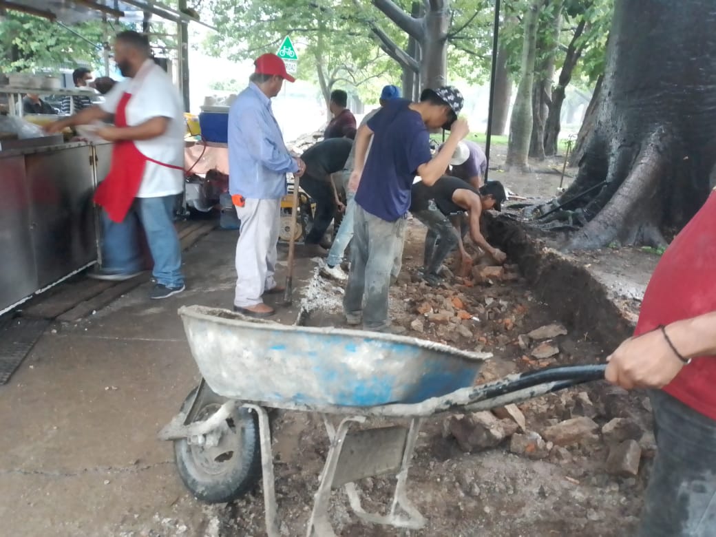 Imagen del Proyecto