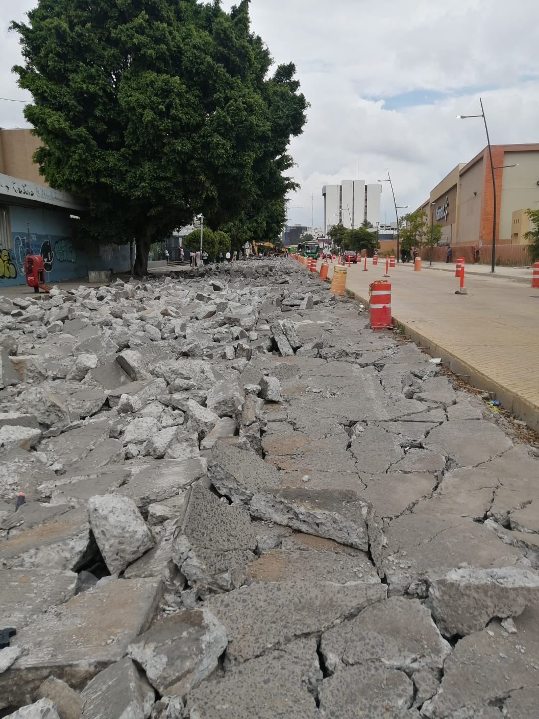 Imagen del proyecto