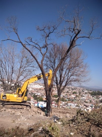 Imagen del proyecto