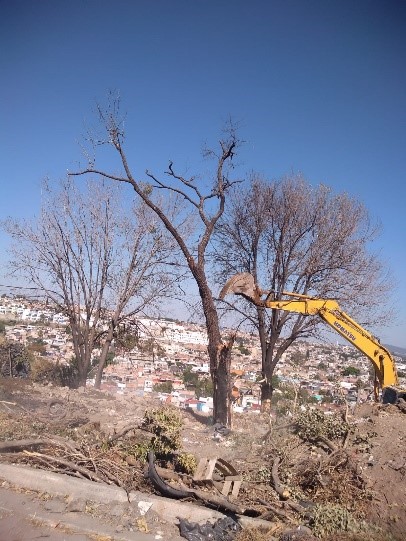 Imagen del proyecto