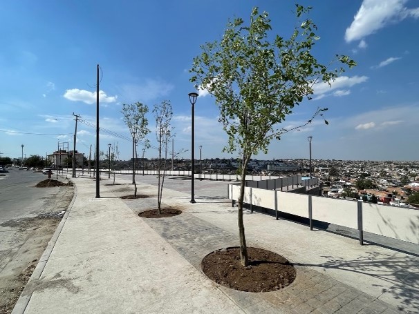 Imagen del proyecto