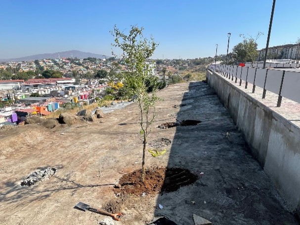 Imagen del proyecto