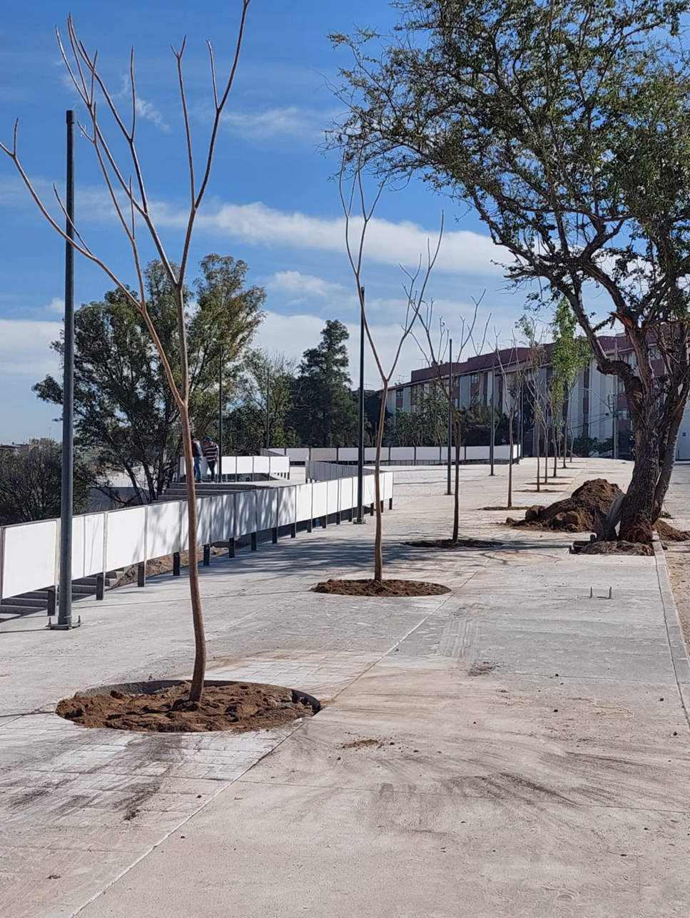 Imagen del proyecto