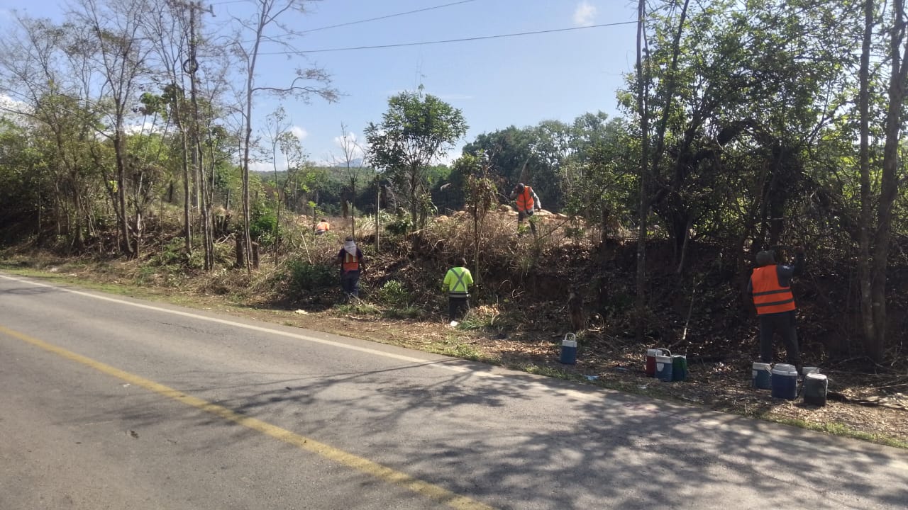 Imagen del proyecto