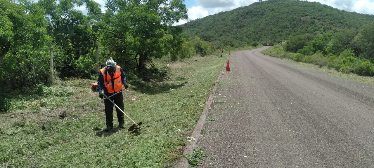 Imagen del proyecto