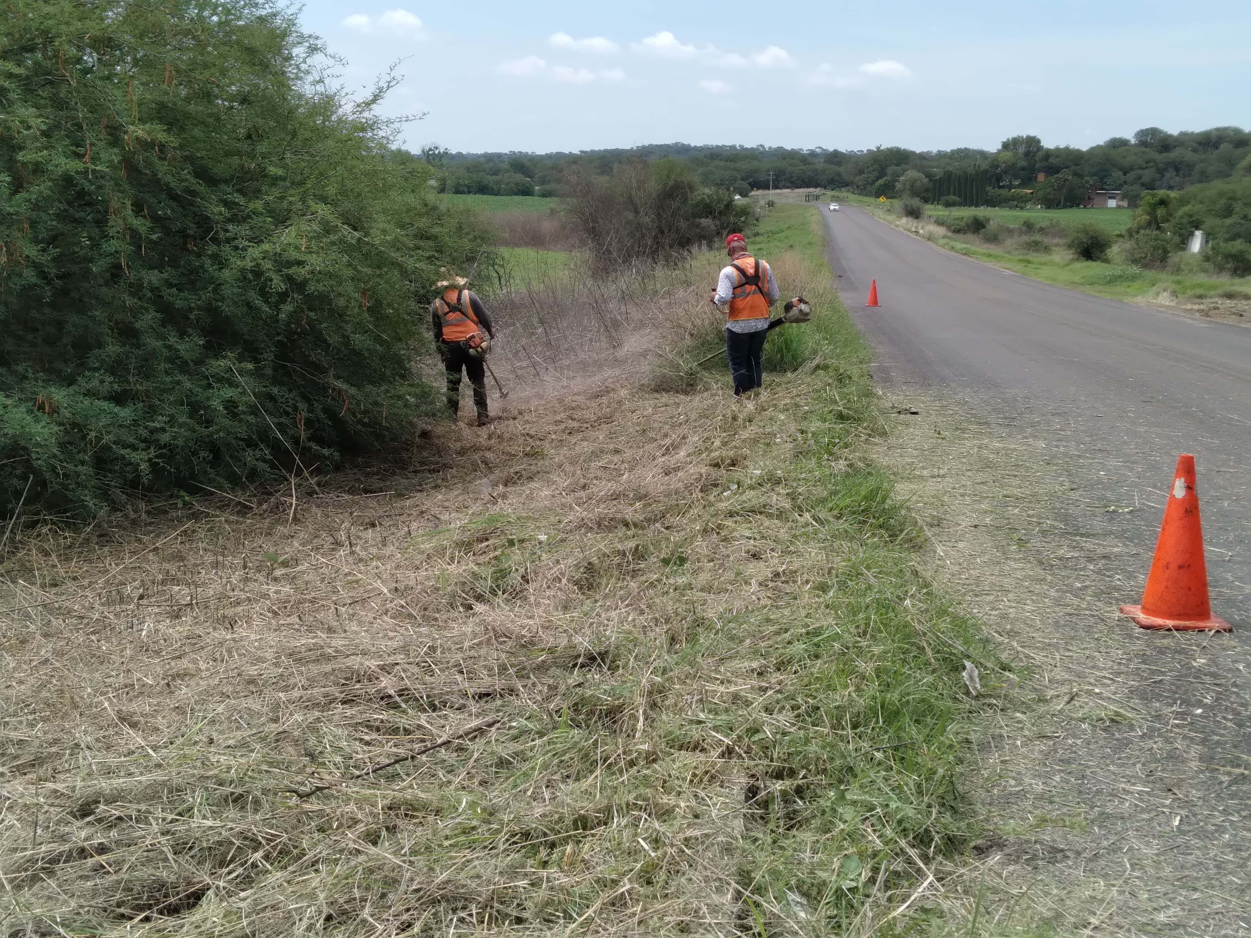 Imagen del proyecto