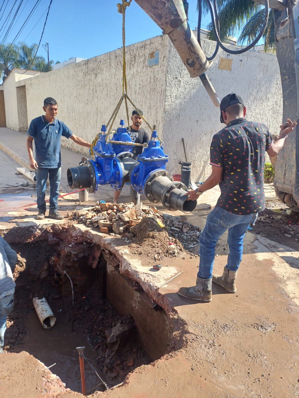 Imagen del proyecto