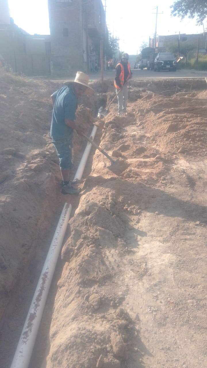 Imagen del proyecto