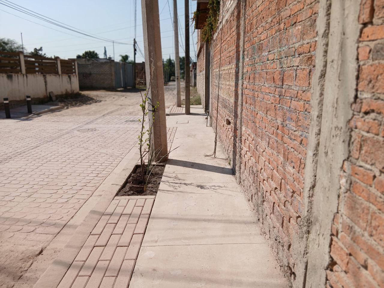 Imagen del proyecto