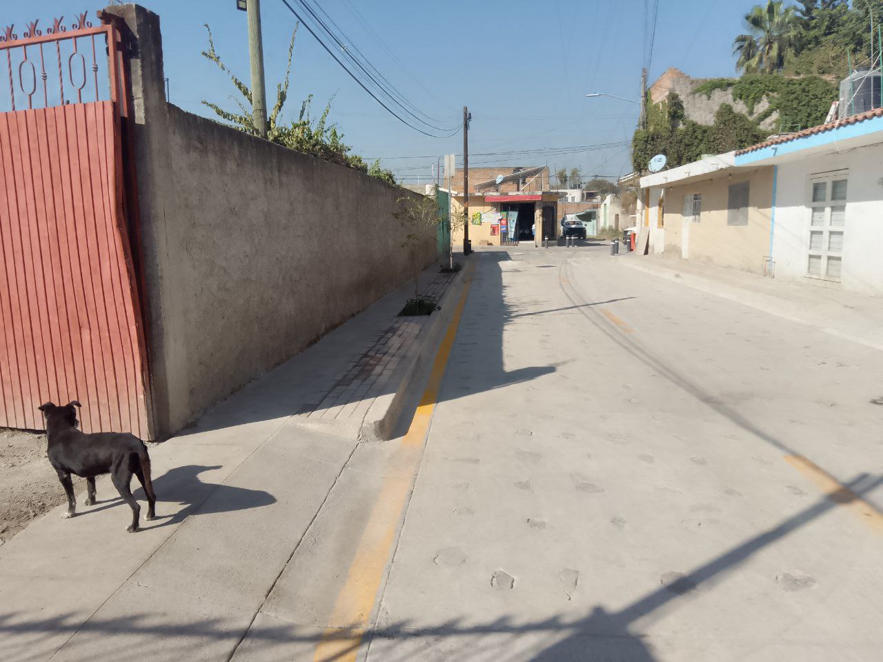 Imagen del proyecto