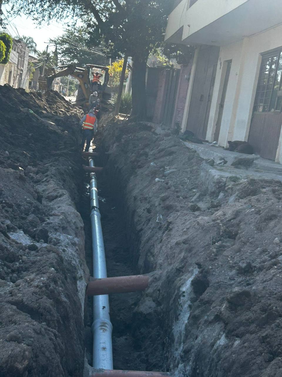 Imagen del proyecto